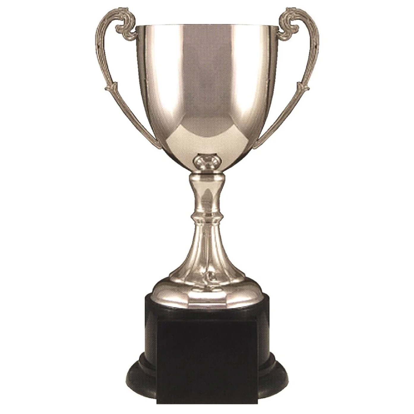 Official NFL Fantasy Football Trophy – Lachman and Co.